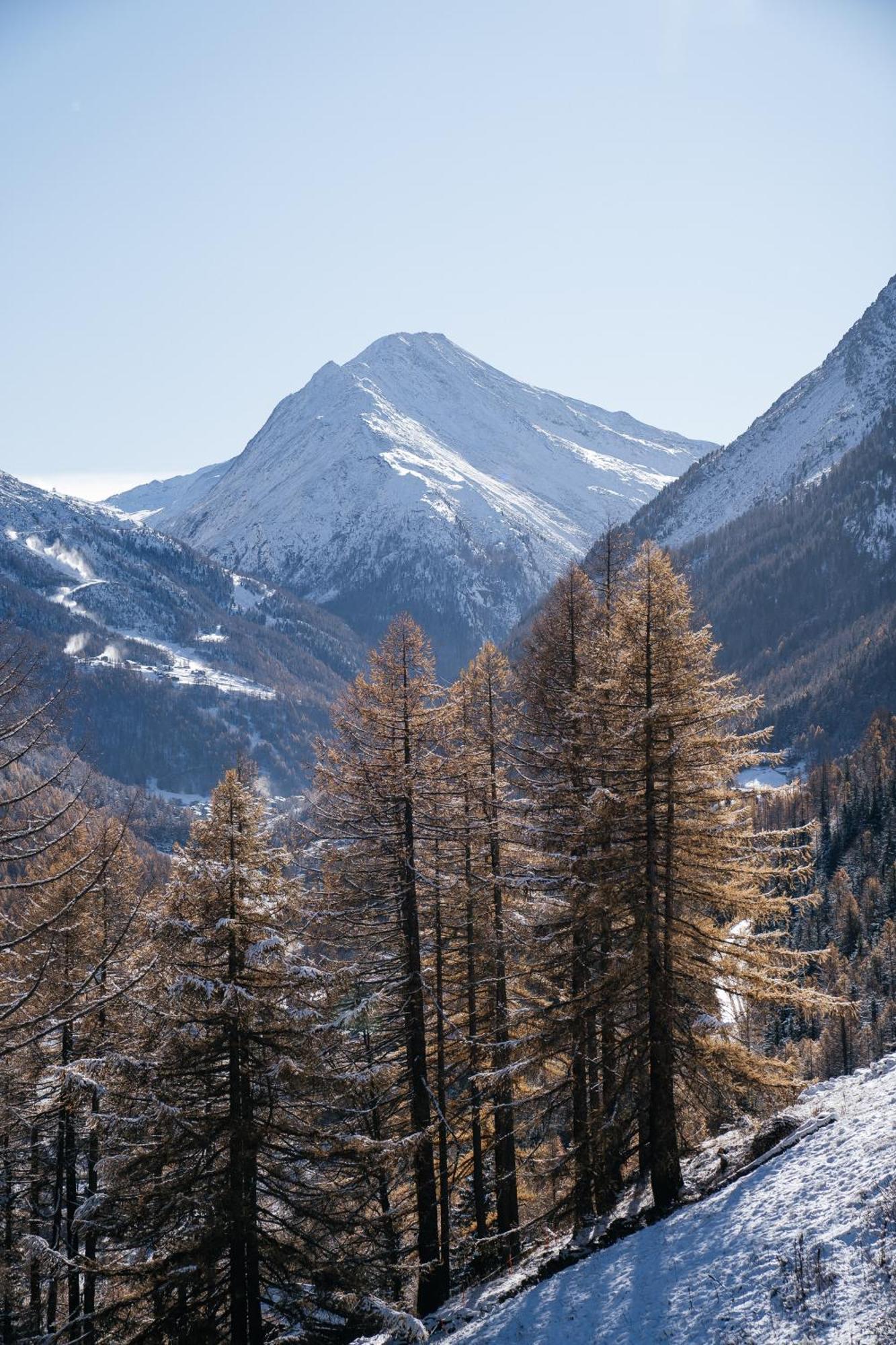 Waldhotel Fletschhorn Panoramic Retreat In Saas Fee Exterior photo