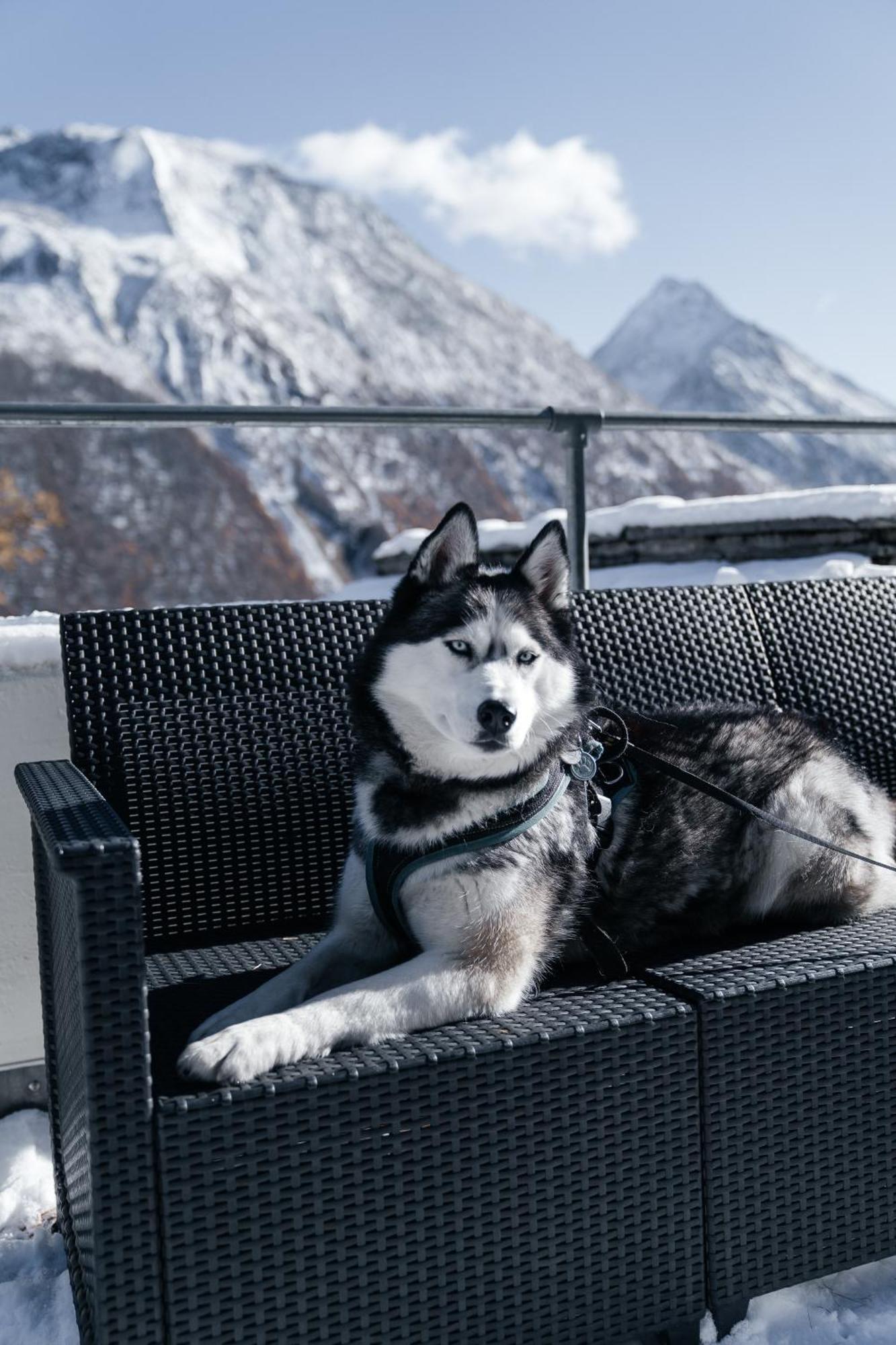 Waldhotel Fletschhorn Panoramic Retreat In Saas Fee Exterior photo